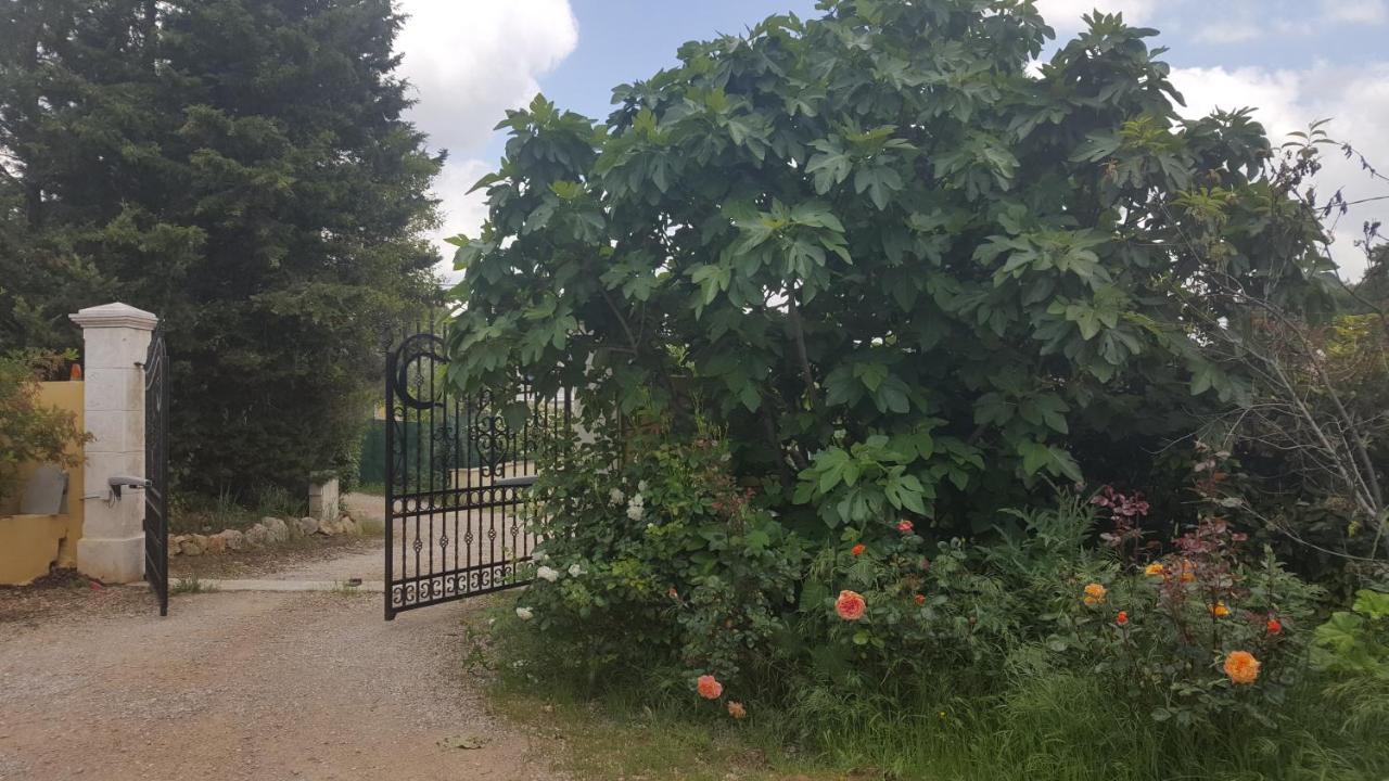 La Villa Provençale Lorgues Exterior foto